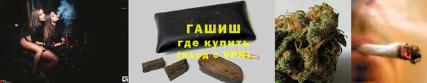 гашик Белокуриха