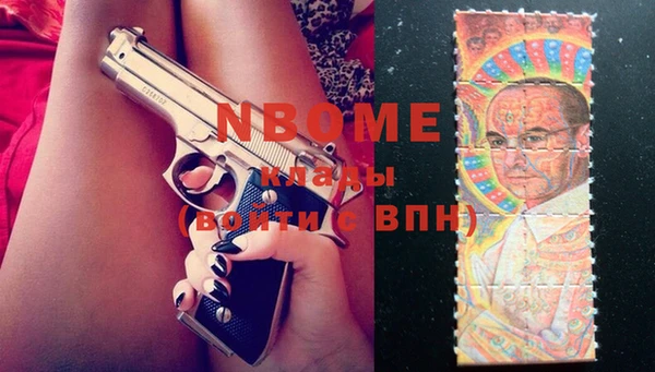 гашик Белокуриха