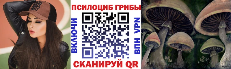hydra рабочий сайт  Верхний Уфалей  Псилоцибиновые грибы прущие грибы 