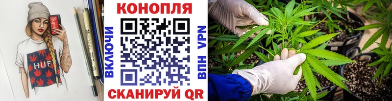 Бошки марихуана сатива  Верхний Уфалей 